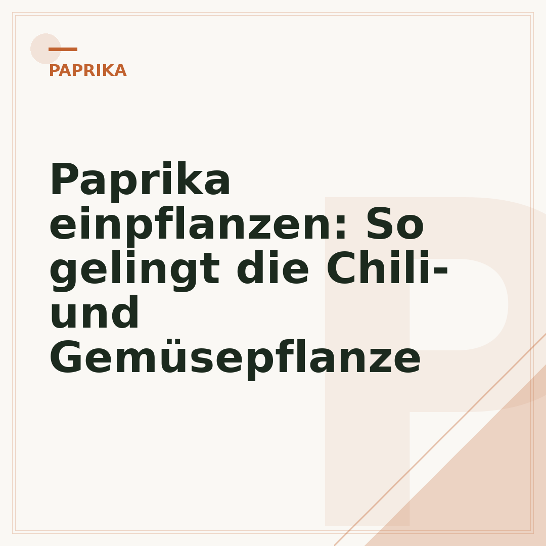 Paprika einpflanzen: So gelingt die Chili- und Gemüsepflanze
