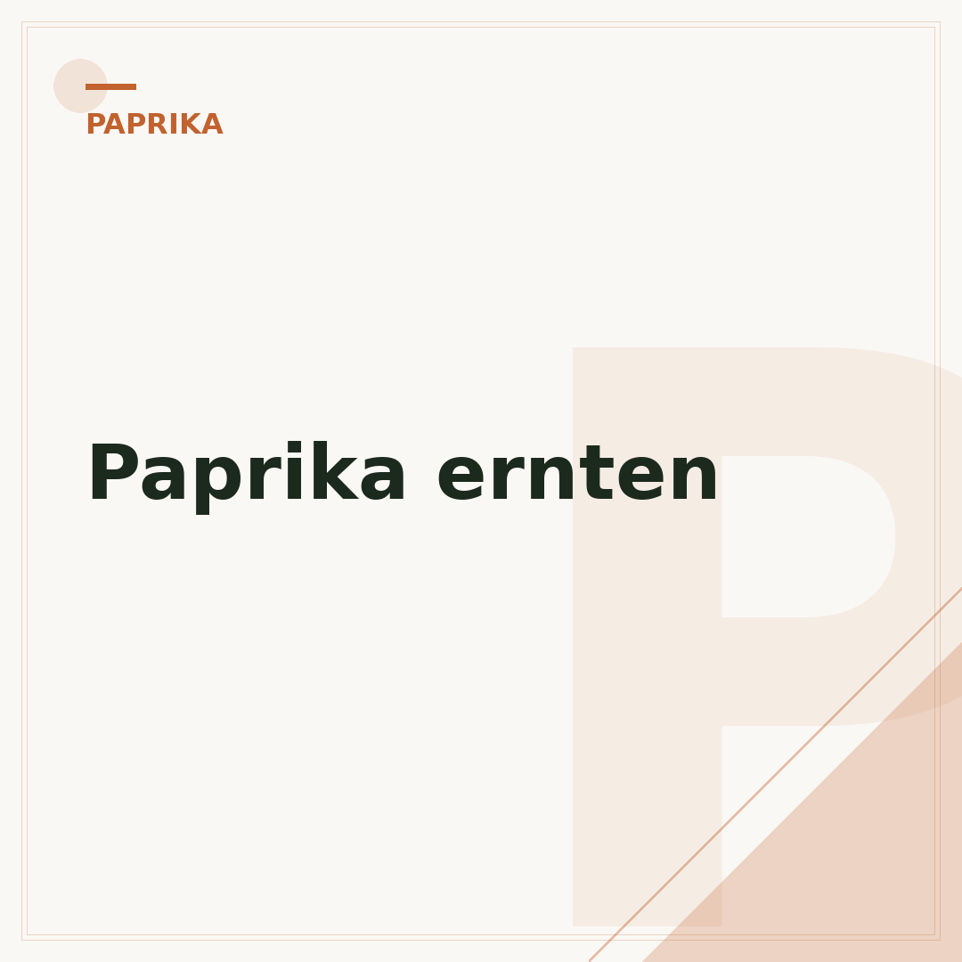 Paprika ernten