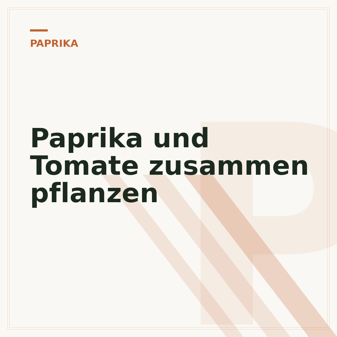 Paprika und Tomate zusammen pflanzen
