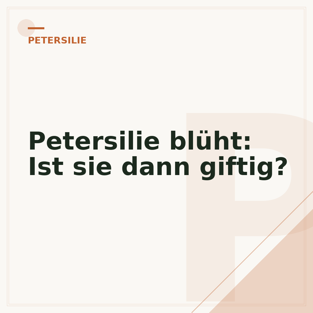 Petersilie blüht: Ist sie dann giftig?