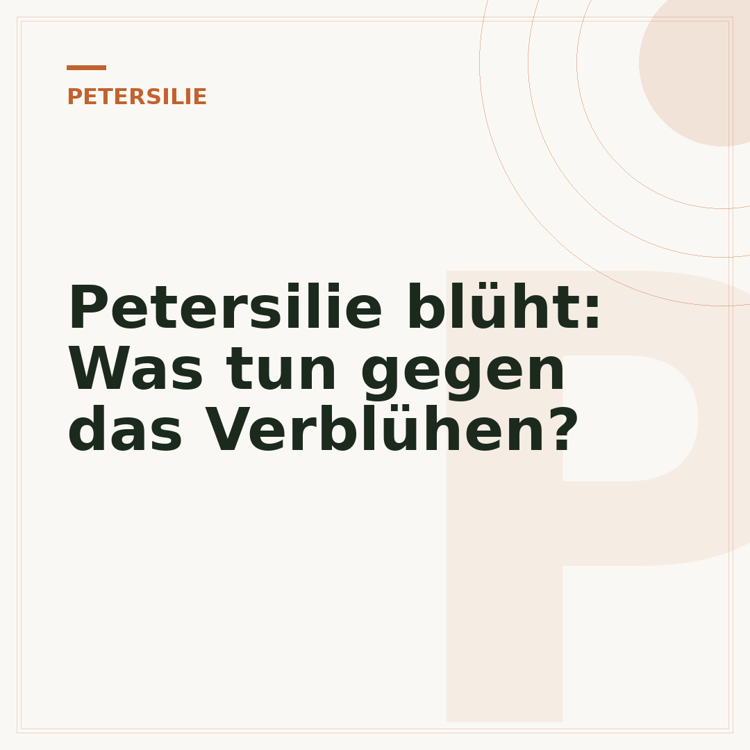 Petersilie blüht: Was tun gegen das Verblühen?