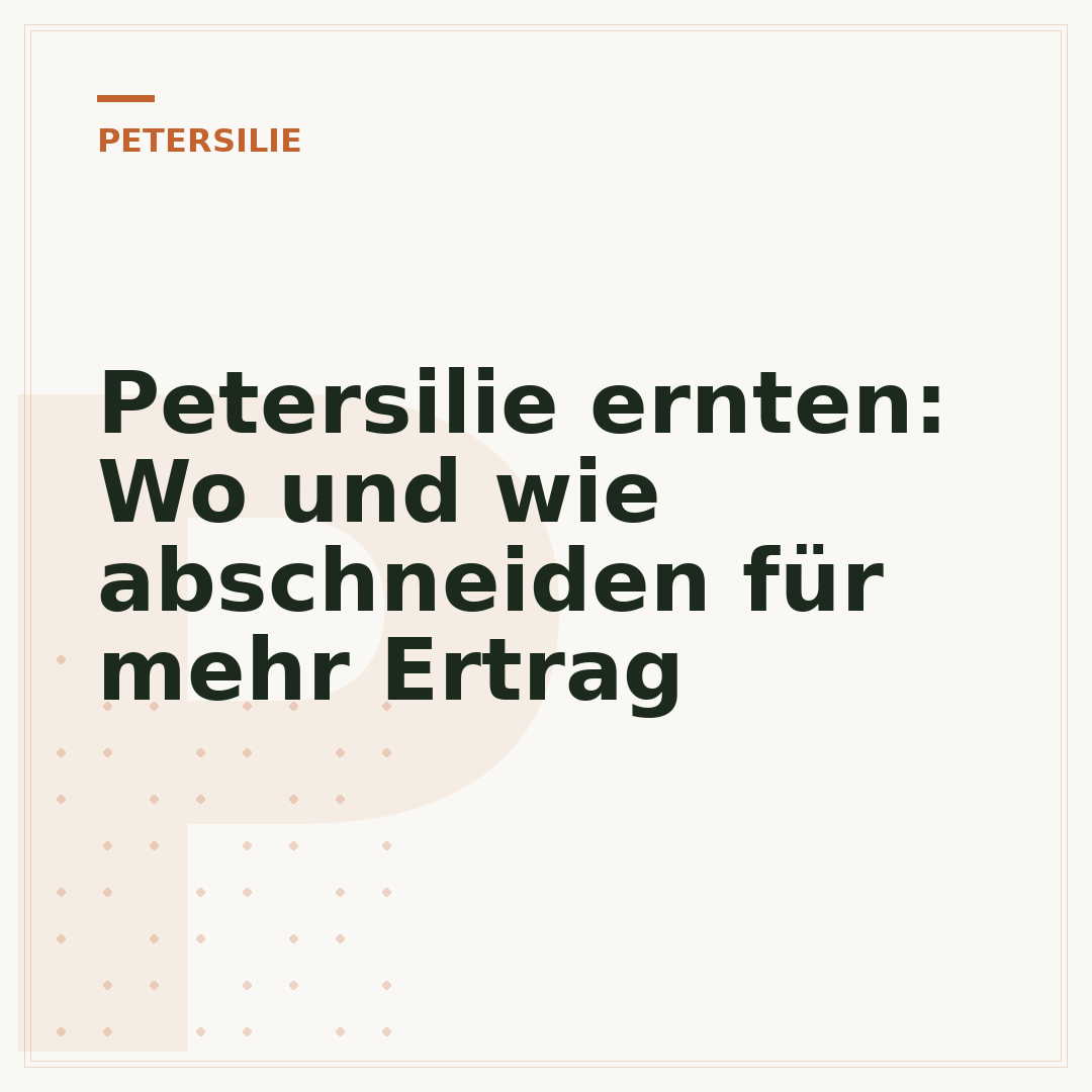 Petersilie ernten: Wo und wie abschneiden für mehr Ertrag