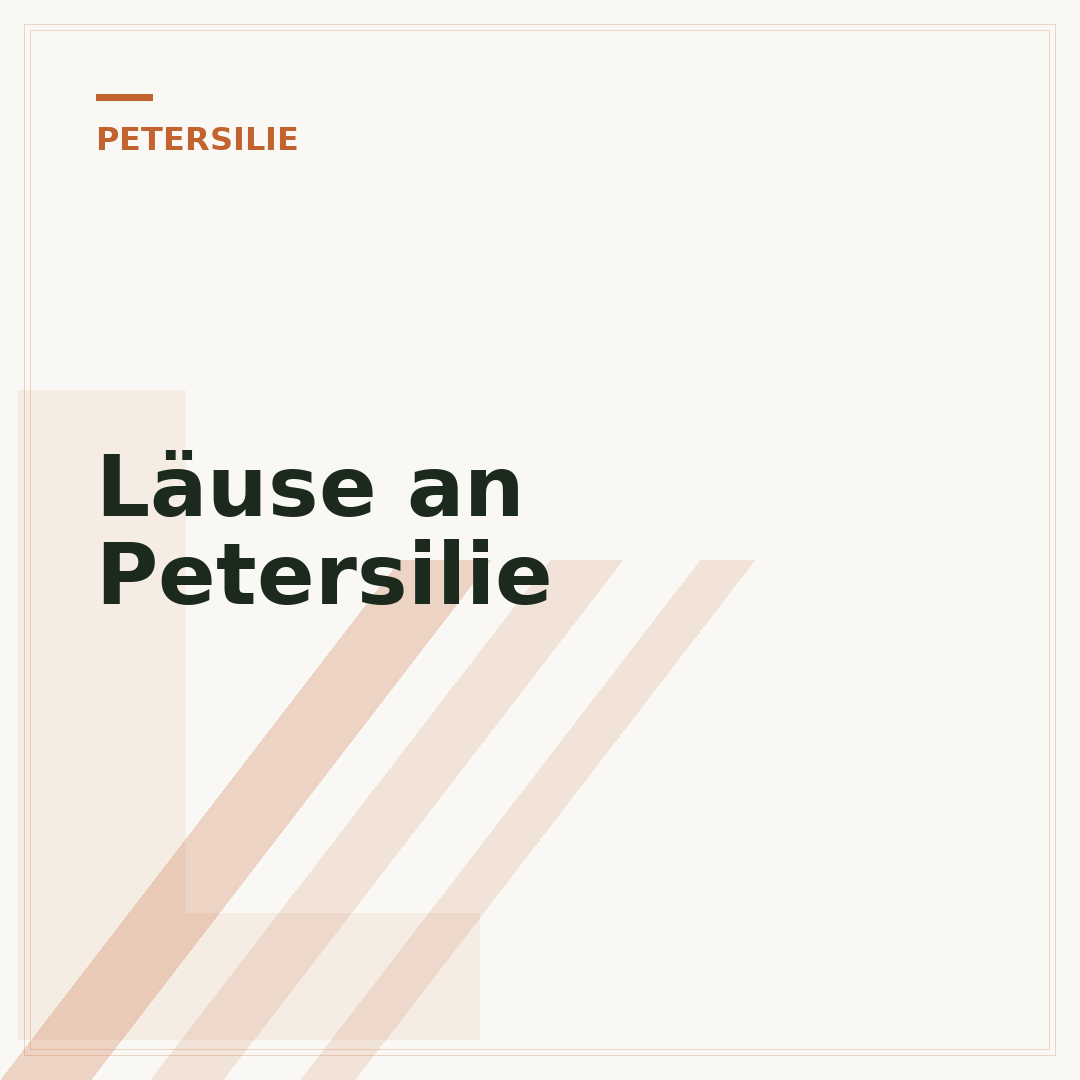 Läuse an Petersilie