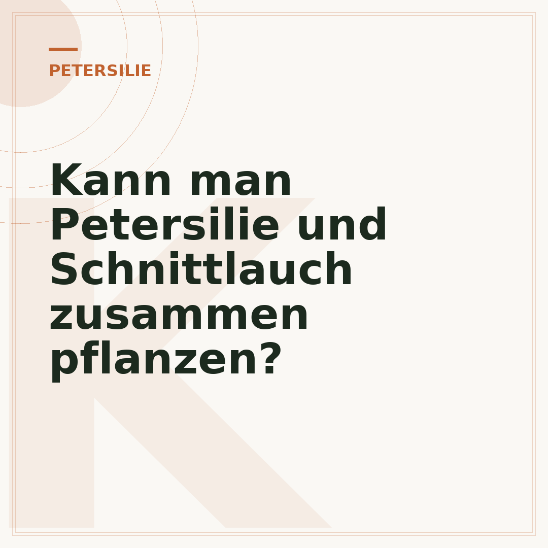 Kann man Petersilie und Schnittlauch zusammen pflanzen?
