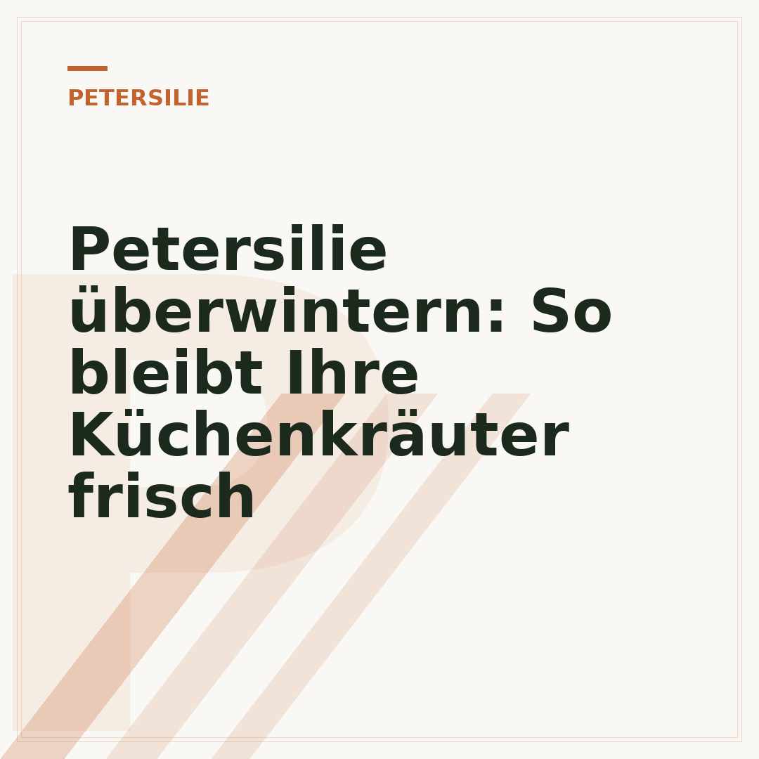 Petersilie überwintern: So bleibt Ihre Küchenkräuter frisch