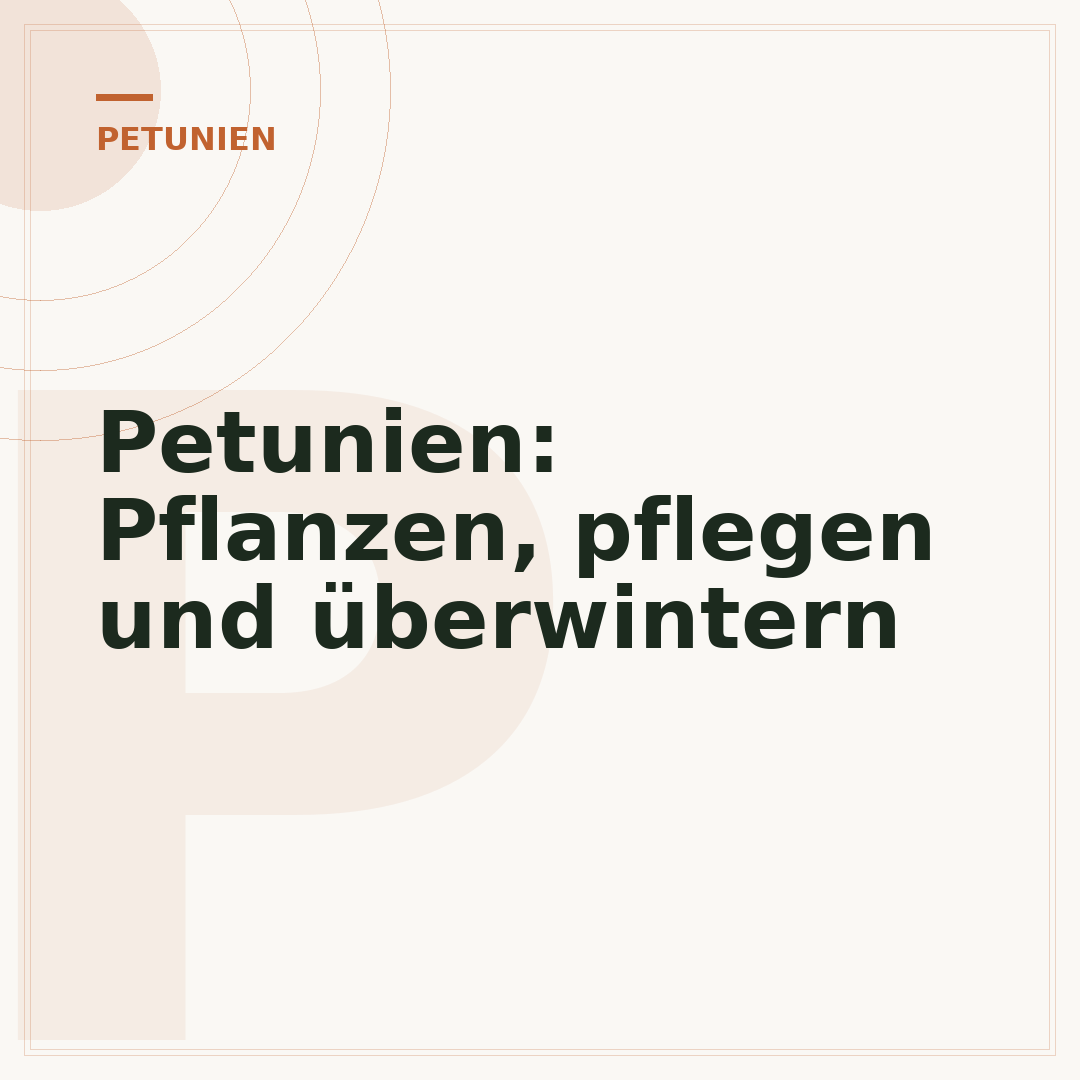 Petunien: Pflanzen, pflegen und überwintern