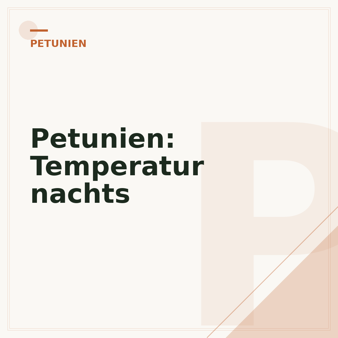 Petunien: Temperatur nachts