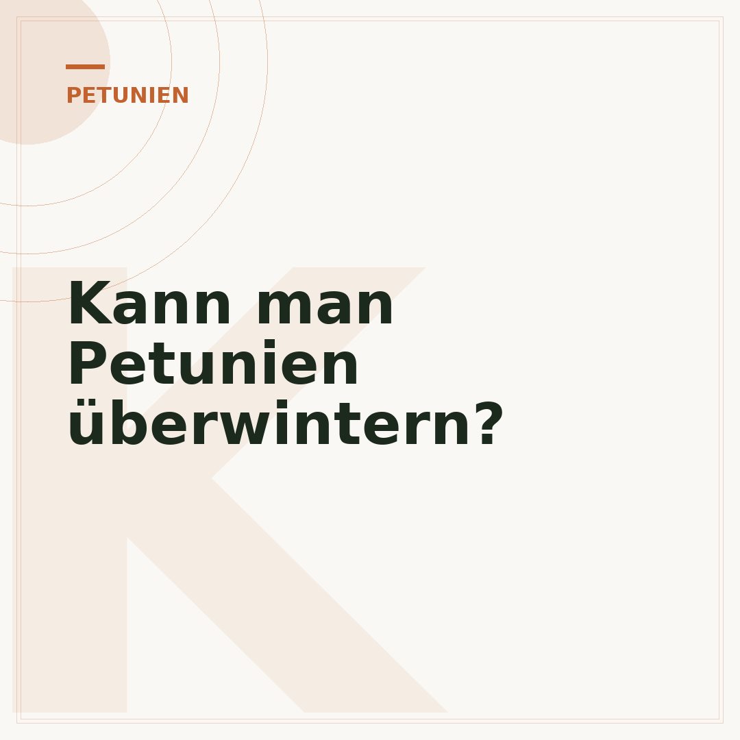 Kann man Petunien überwintern?