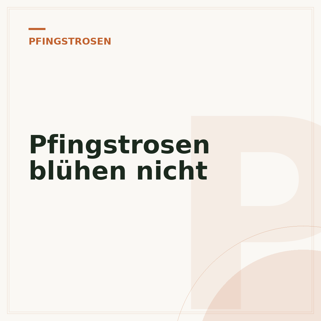 Pfingstrosen blühen nicht