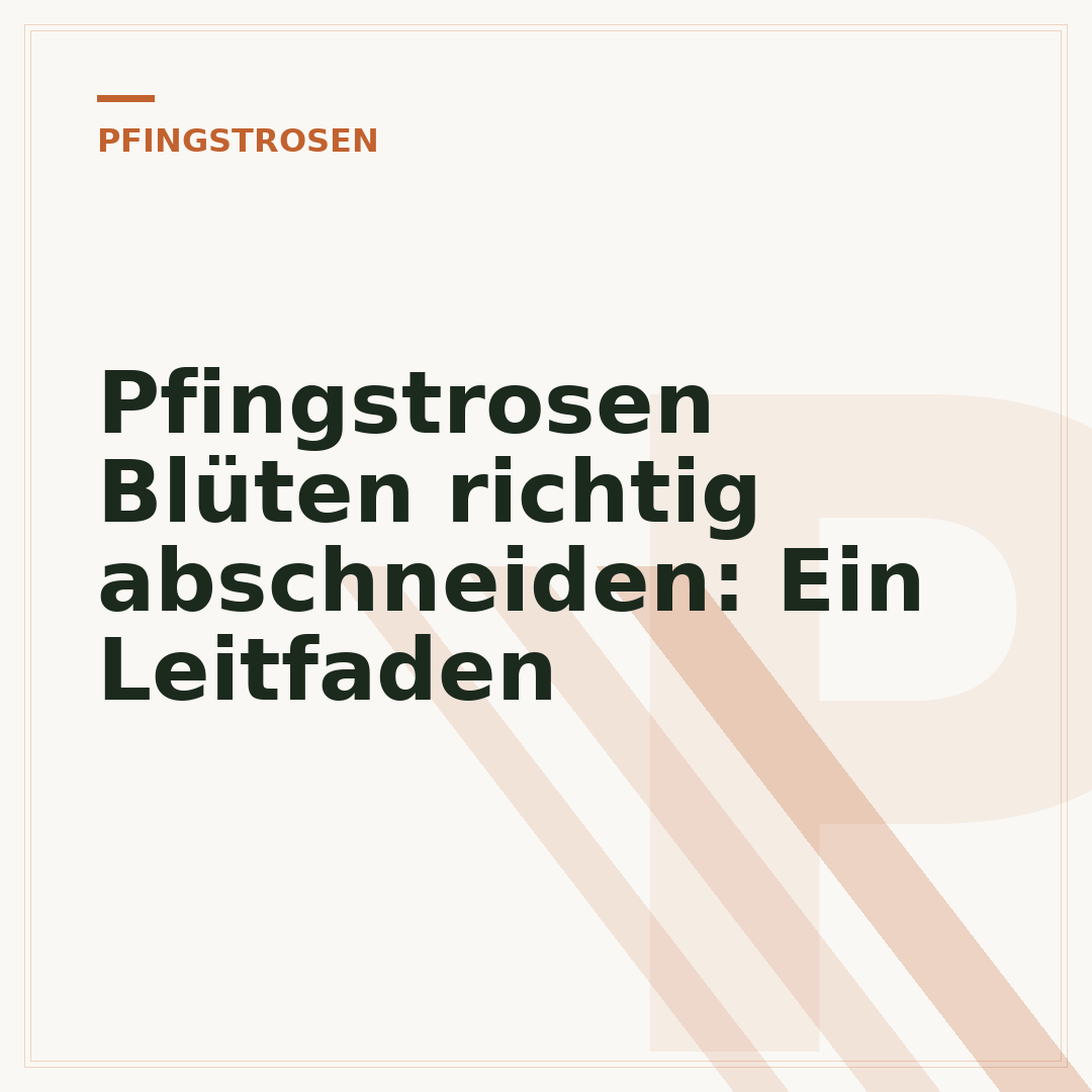 Pfingstrosen Blüten richtig abschneiden: Ein Leitfaden