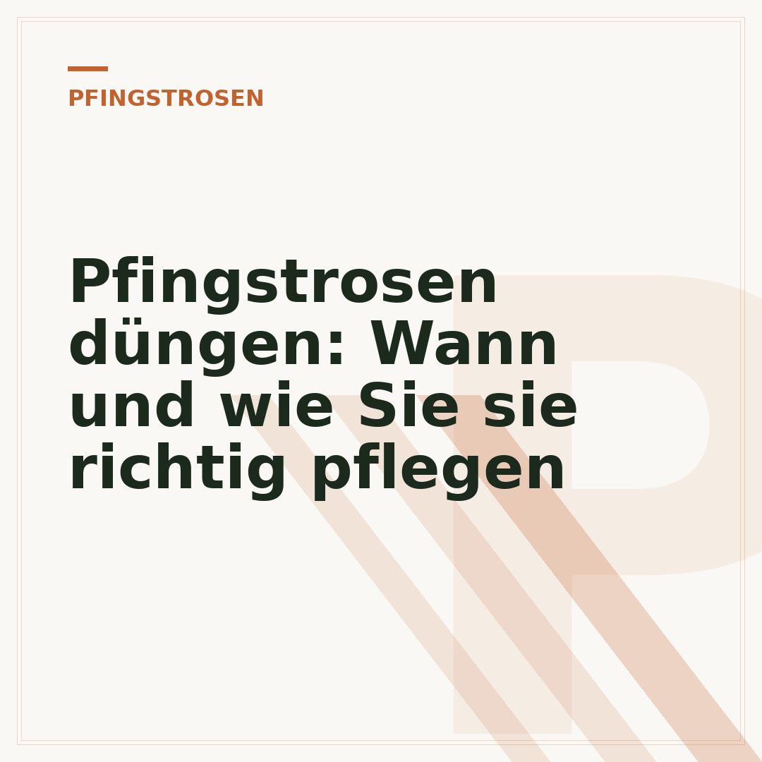 Pfingstrosen düngen: Wann und wie Sie sie richtig pflegen