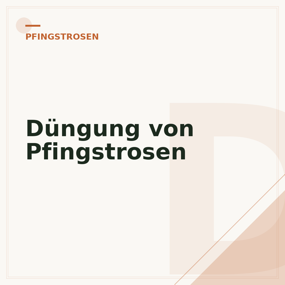 Düngung von Pfingstrosen