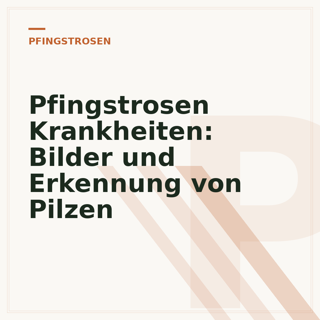 Pfingstrosen Krankheiten: Bilder und Erkennung von Pilzen