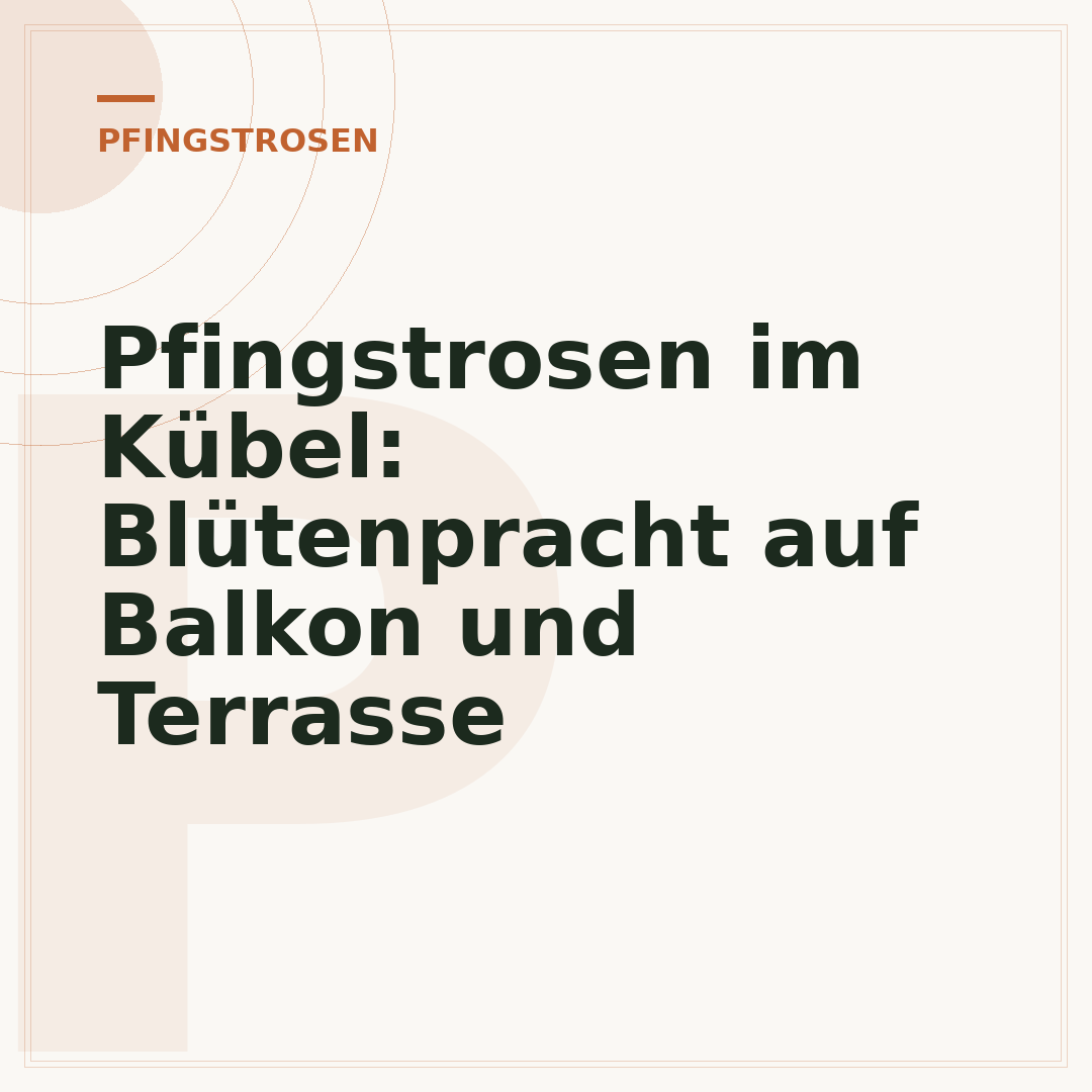 Pfingstrosen im Kübel: Blütenpracht auf Balkon und Terrasse