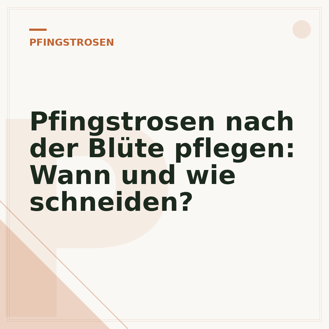 Pfingstrosen nach der Blüte pflegen: Wann und wie schneiden?