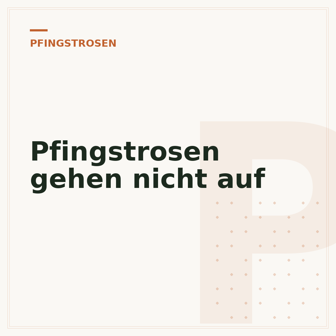 Pfingstrosen gehen nicht auf