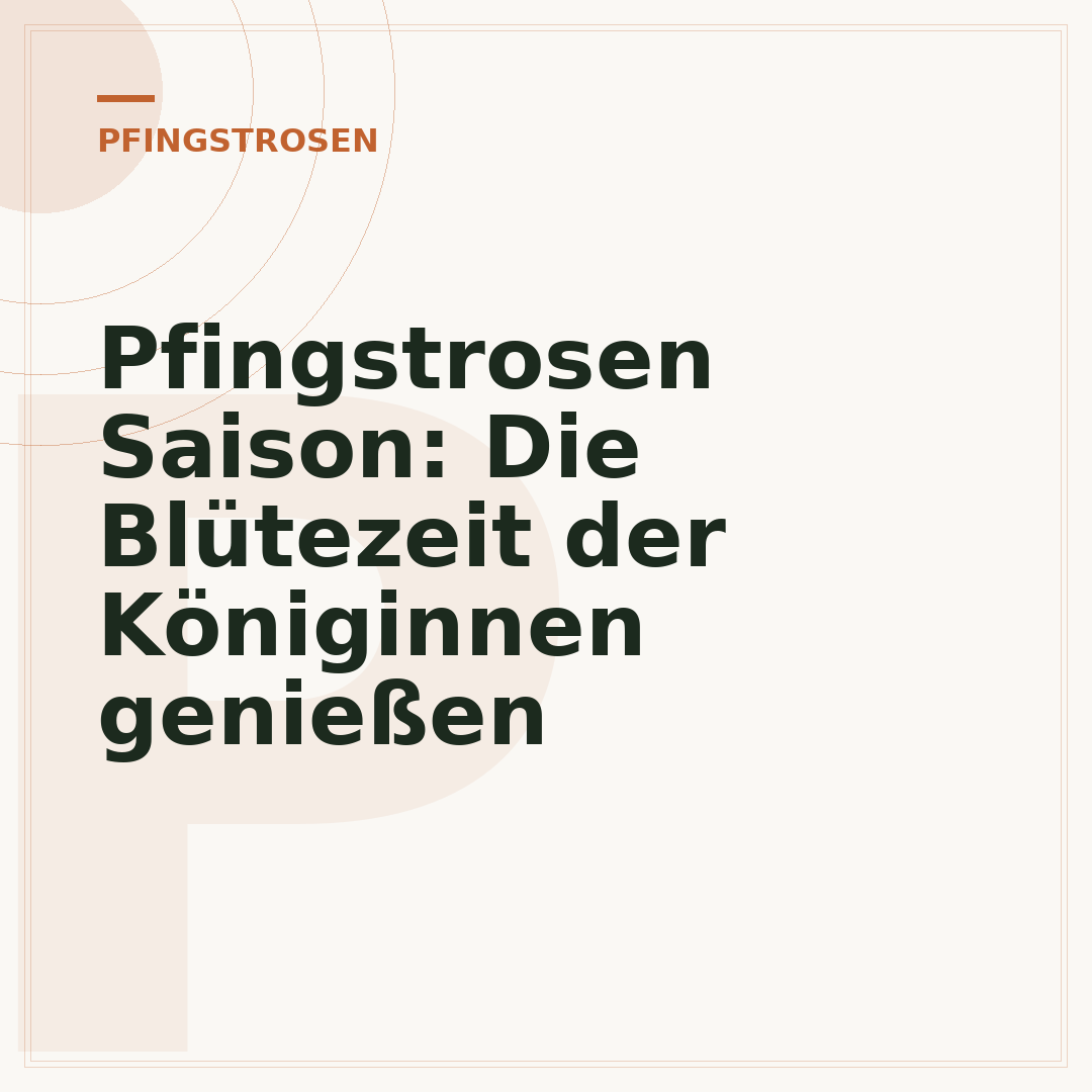 Pfingstrosen Saison: Die Blütezeit der Königinnen genießen