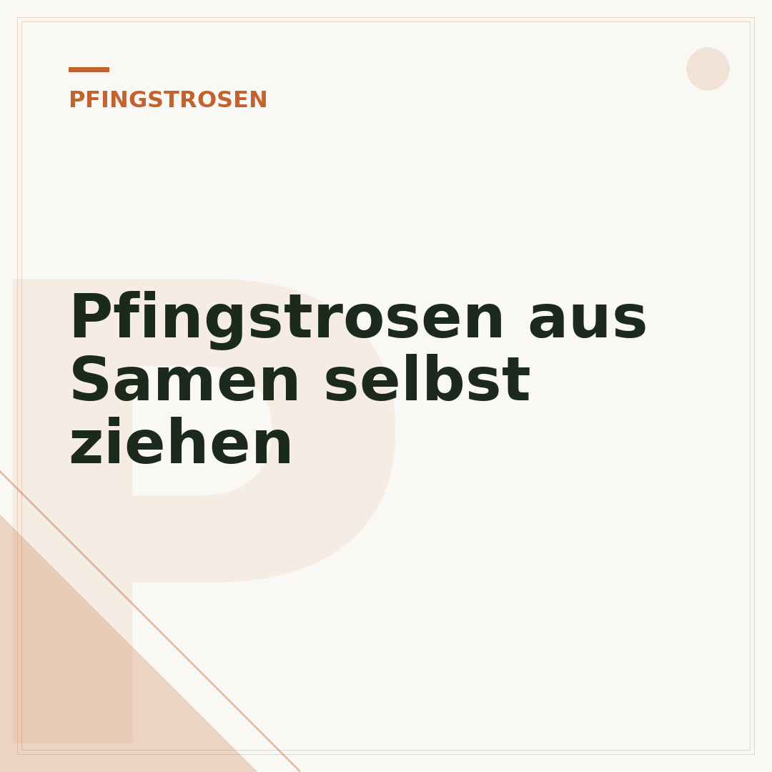 Pfingstrosen aus Samen selbst ziehen