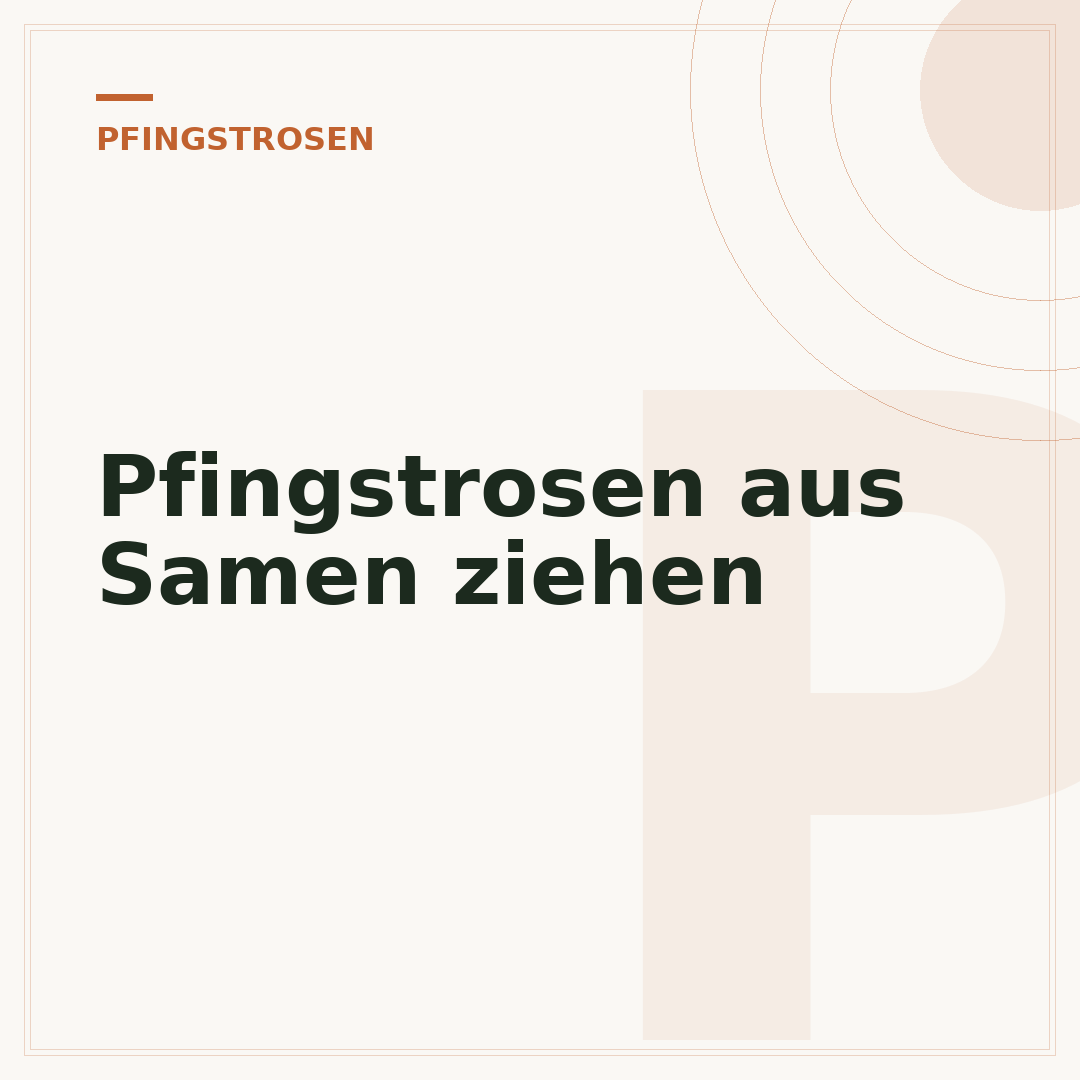 Pfingstrosen aus Samen ziehen