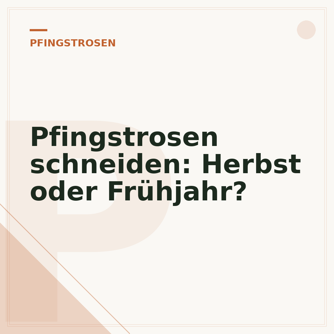 Pfingstrosen schneiden: Herbst oder Frühjahr?