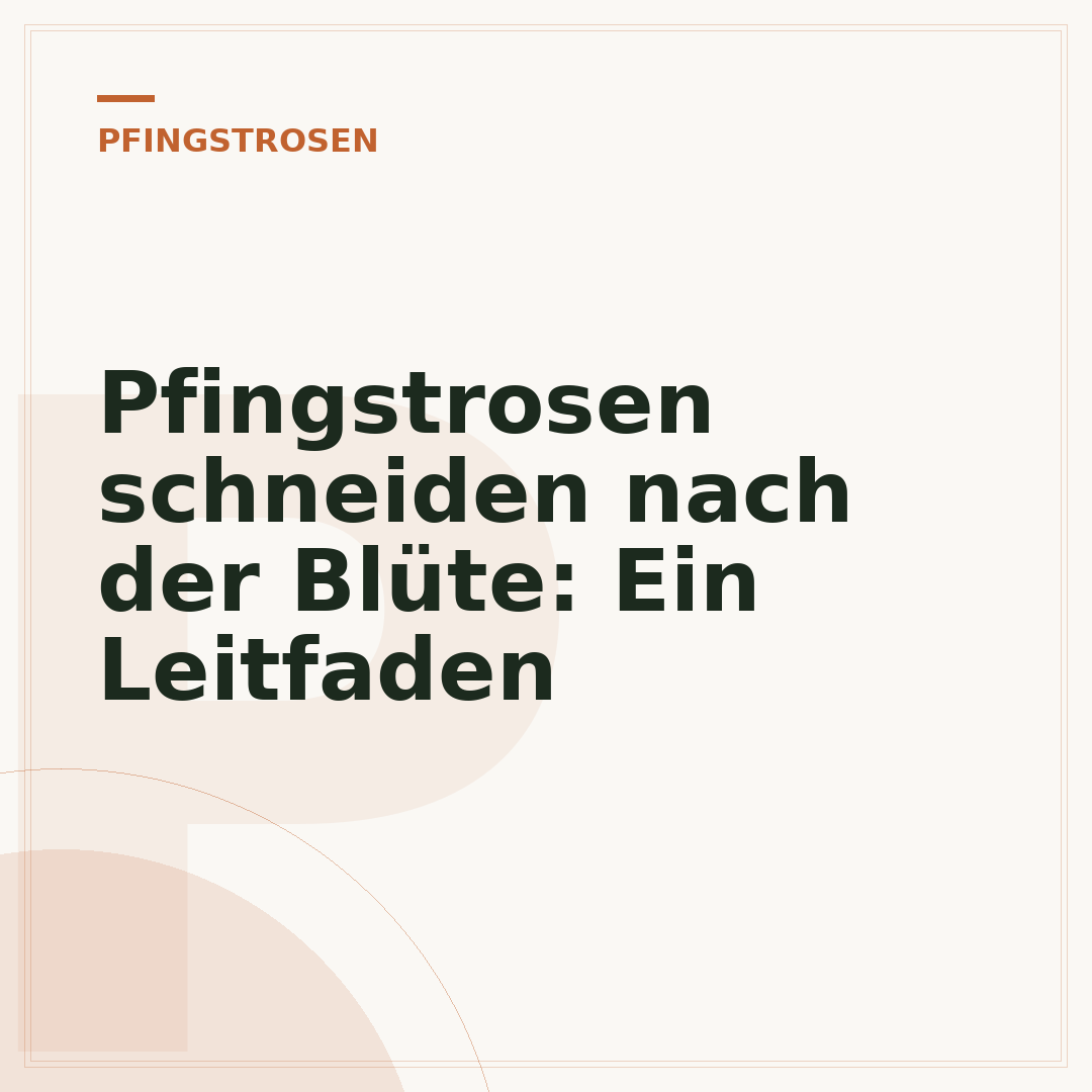 Pfingstrosen schneiden nach der Blüte: Ein Leitfaden