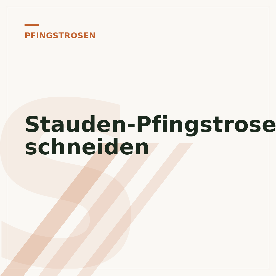Stauden-Pfingstrosen schneiden