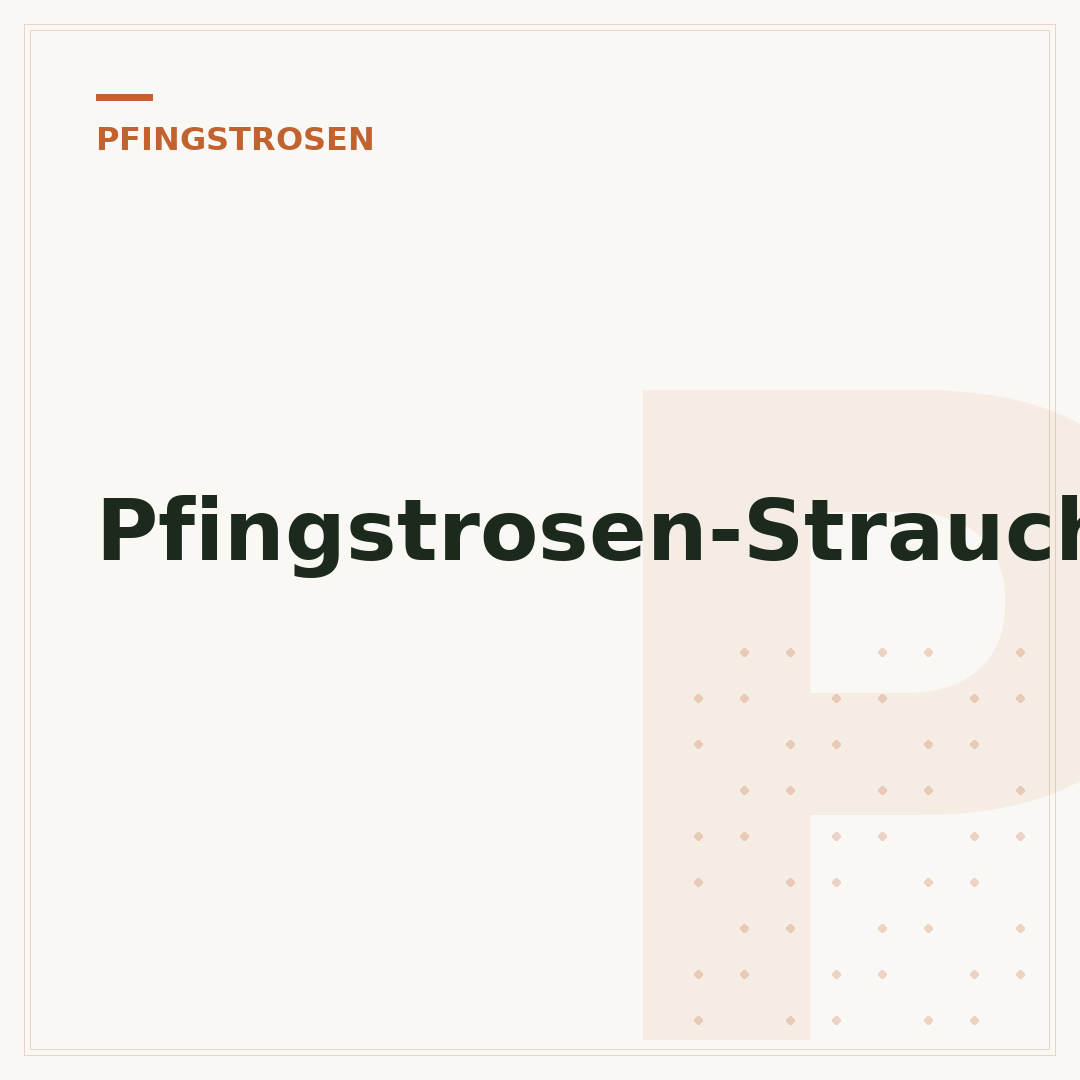 Pfingstrosen-Strauch