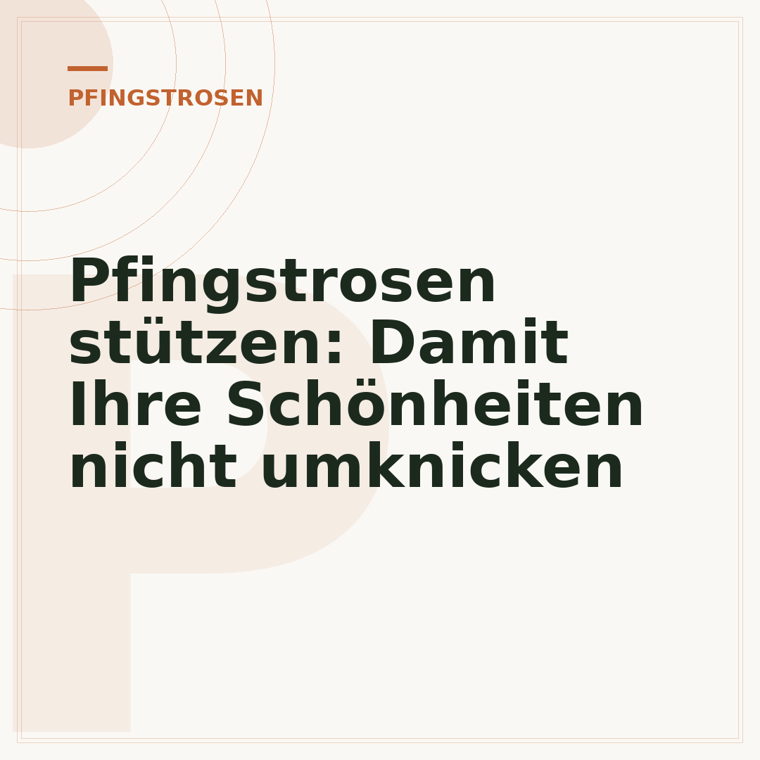 Pfingstrosen stützen: Damit Ihre Schönheiten nicht umknicken