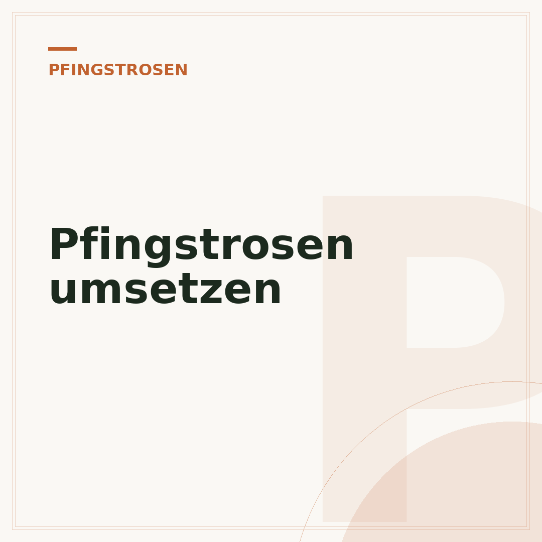 Pfingstrosen umsetzen