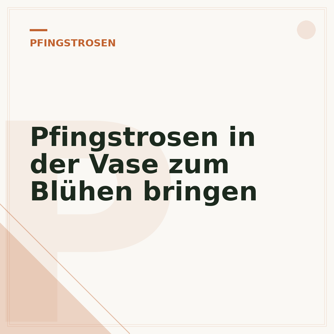 Pfingstrosen in der Vase zum Blühen bringen