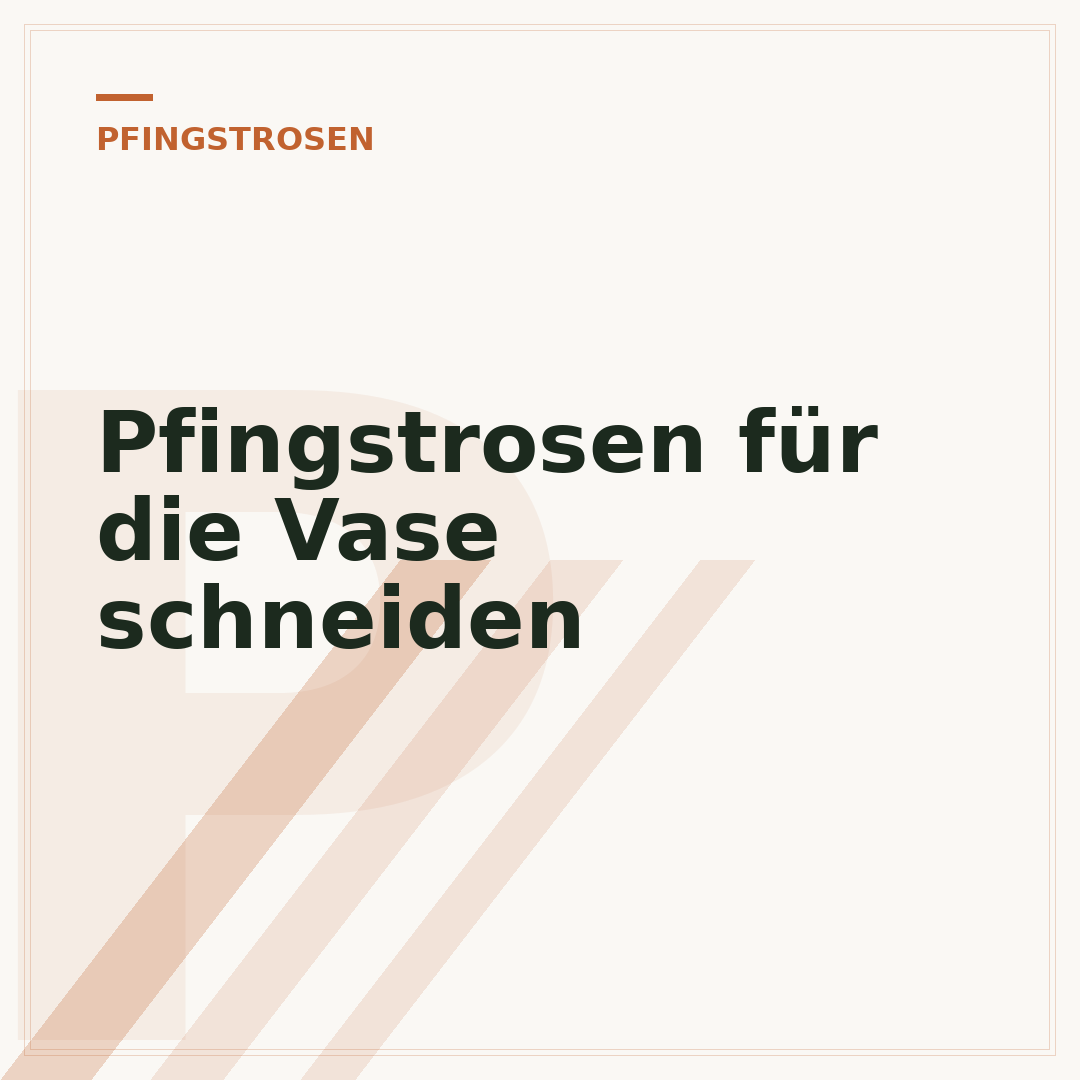 Pfingstrosen für die Vase schneiden