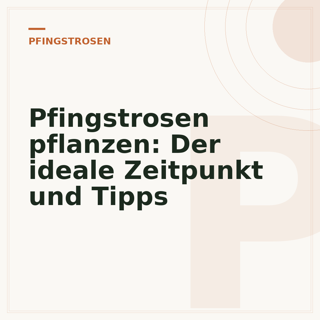Pfingstrosen pflanzen: Der ideale Zeitpunkt und Tipps