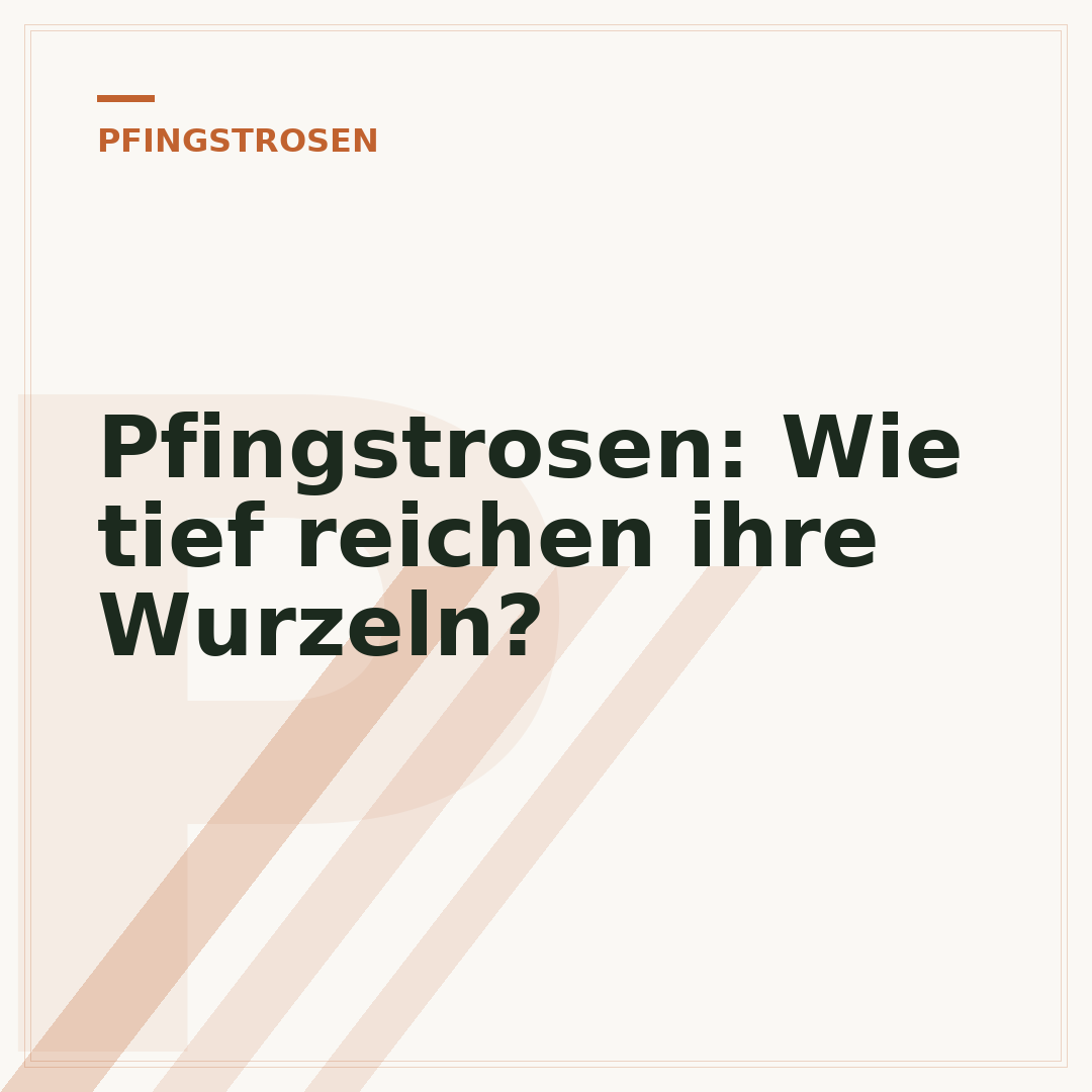 Pfingstrosen: Wie tief reichen ihre Wurzeln?