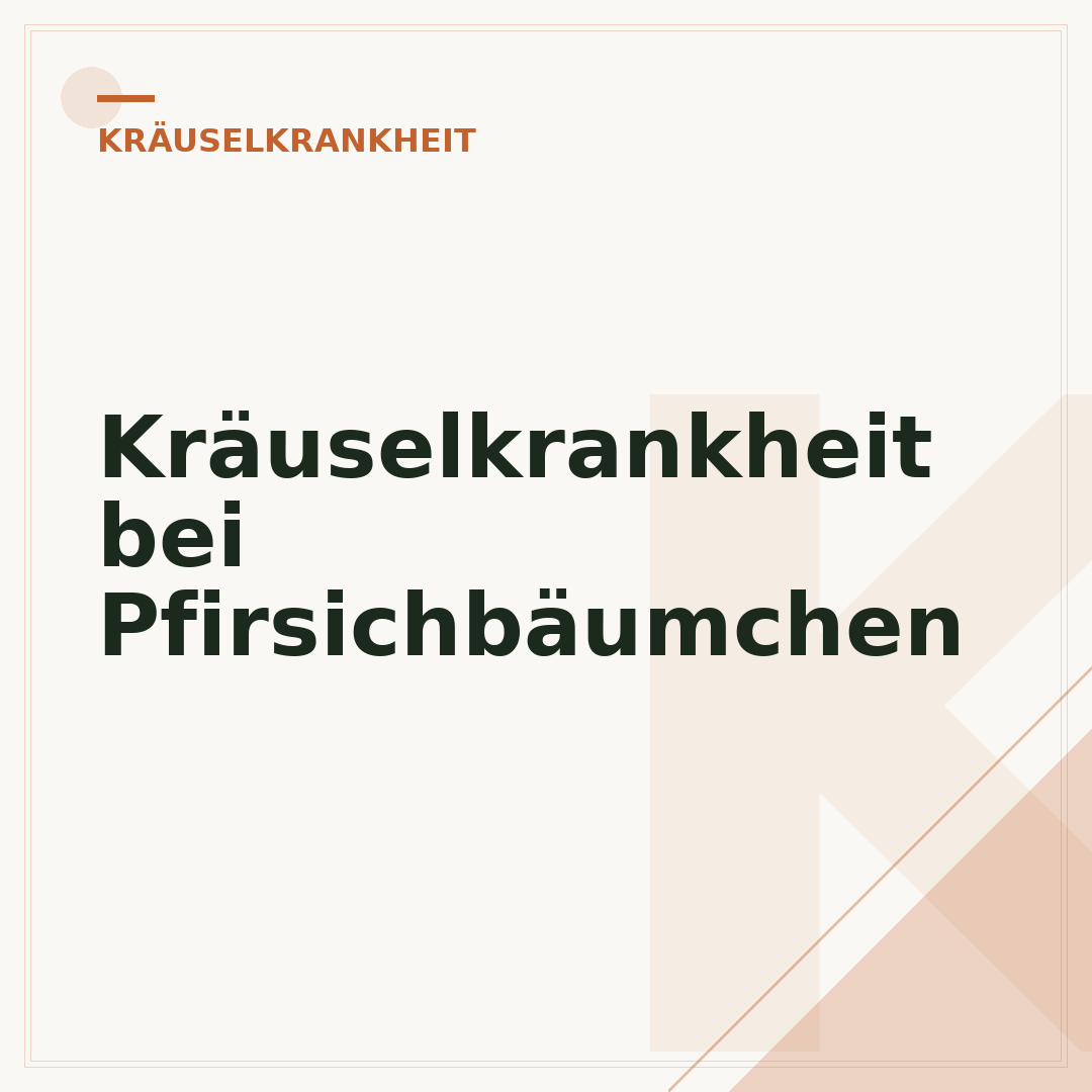 Kräuselkrankheit bei Pfirsichbäumchen