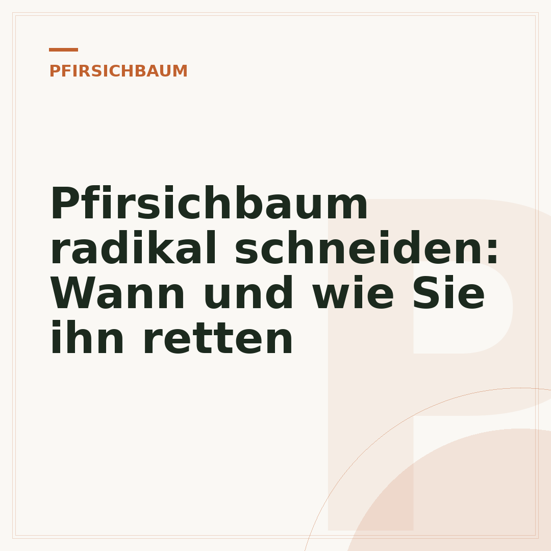 Pfirsichbaum radikal schneiden: Wann und wie Sie ihn retten