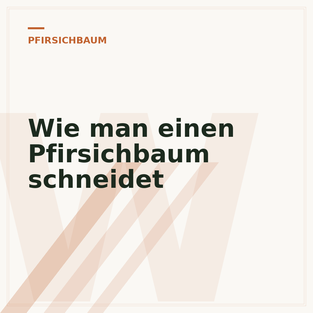 Wie man einen Pfirsichbaum schneidet