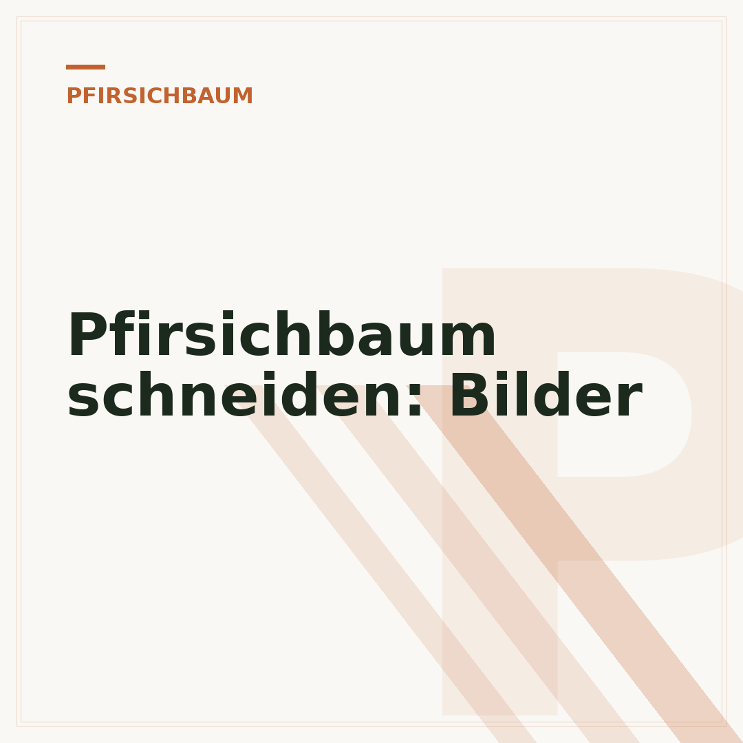 Pfirsichbaum schneiden: Bilder