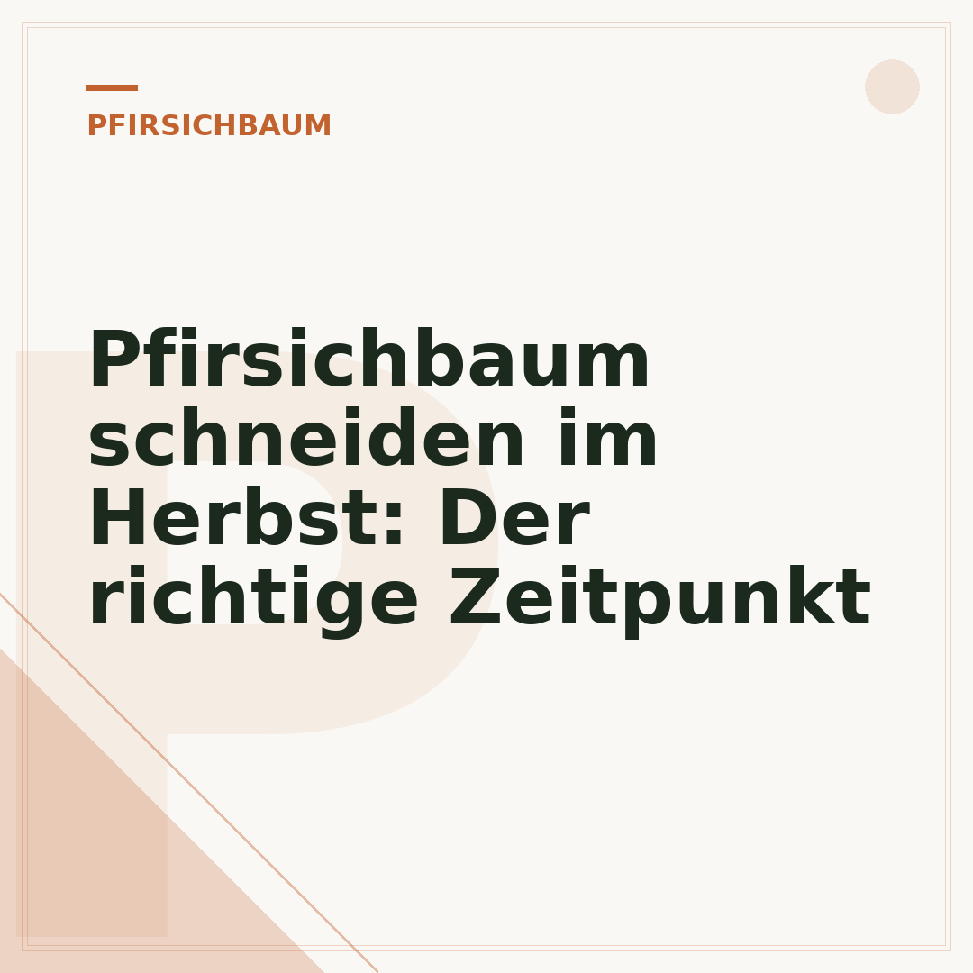 Pfirsichbaum schneiden im Herbst: Der richtige Zeitpunkt