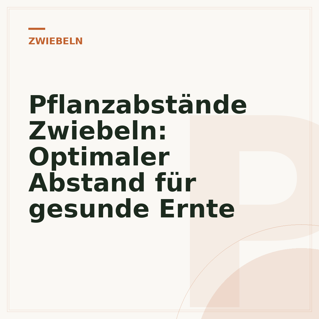 Pflanzabstände Zwiebeln: Optimaler Abstand für gesunde Ernte