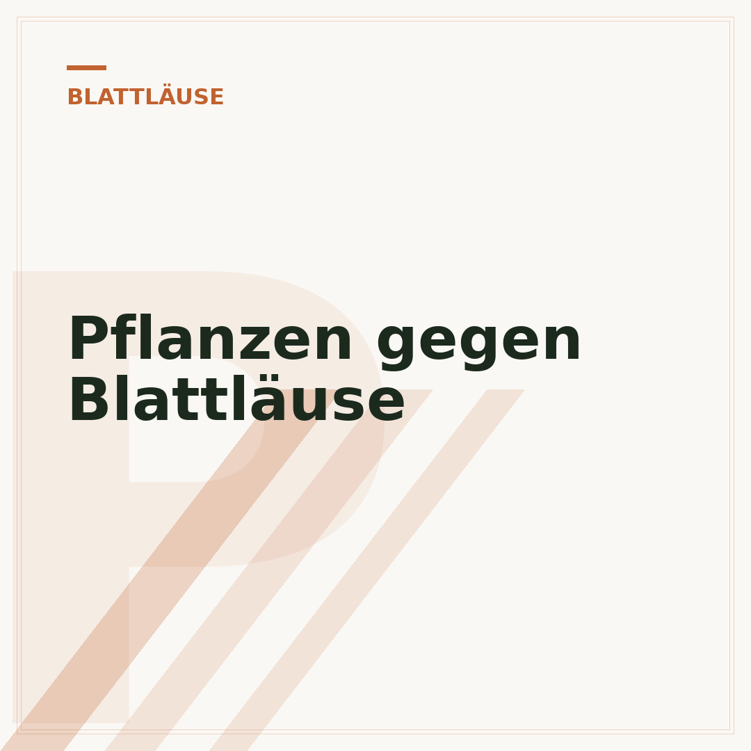 Pflanzen gegen Blattläuse