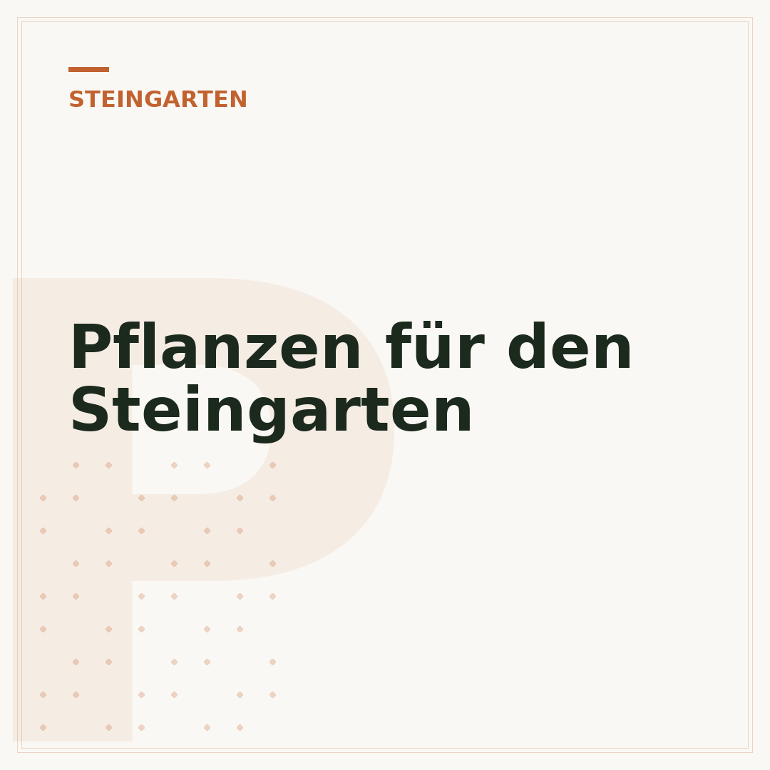 Pflanzen für den Steingarten