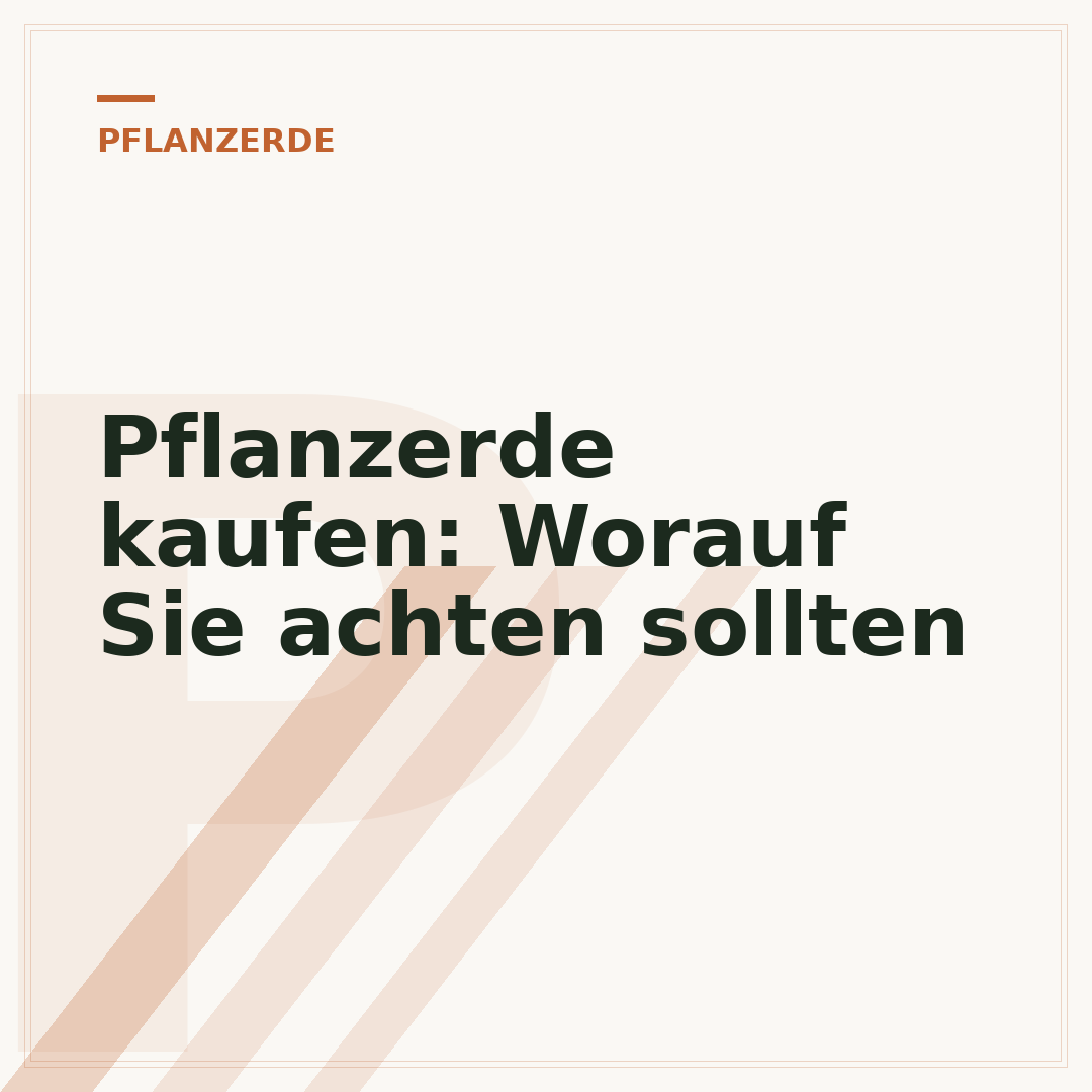 Pflanzerde kaufen: Worauf Sie achten sollten