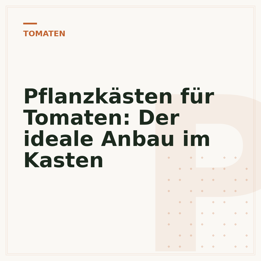 Pflanzkästen für Tomaten: Der ideale Anbau im Kasten