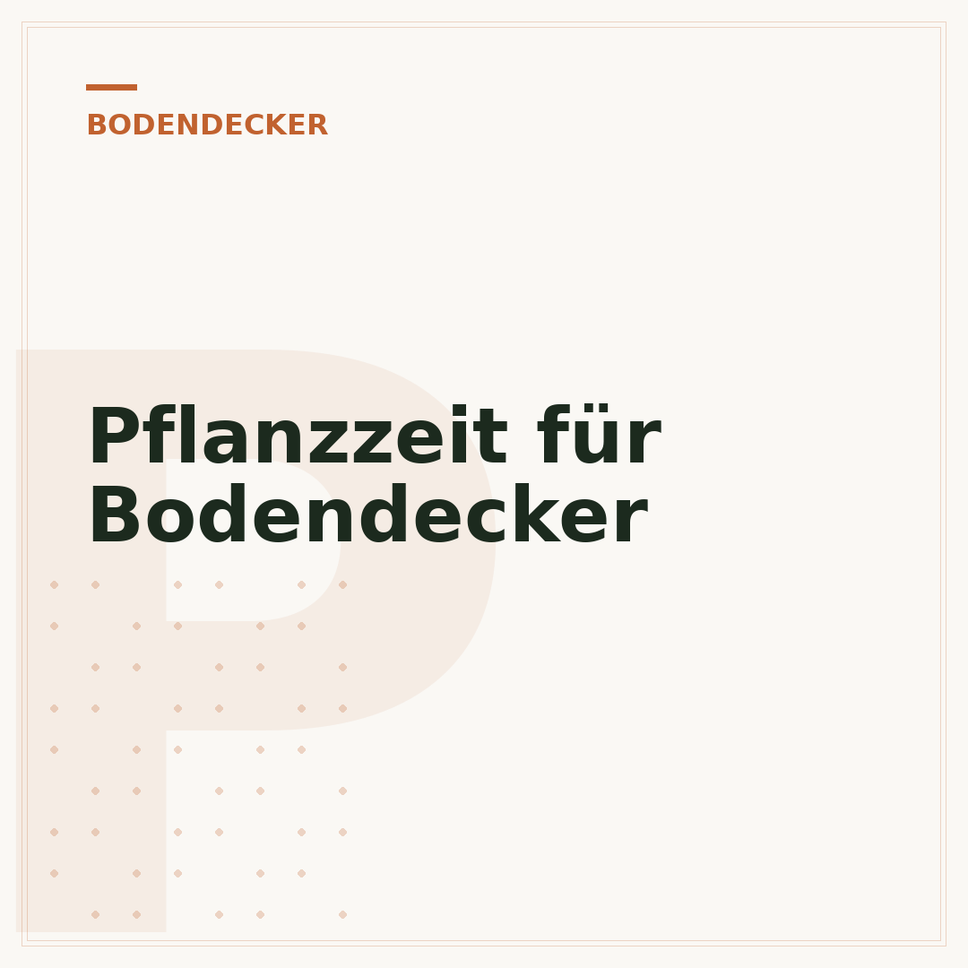 Pflanzzeit für Bodendecker