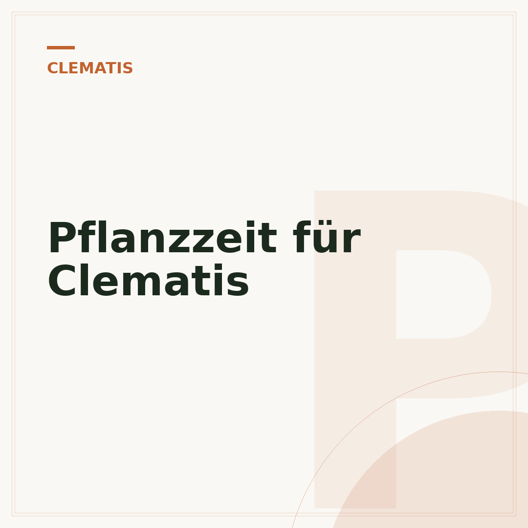 Pflanzzeit für Clematis