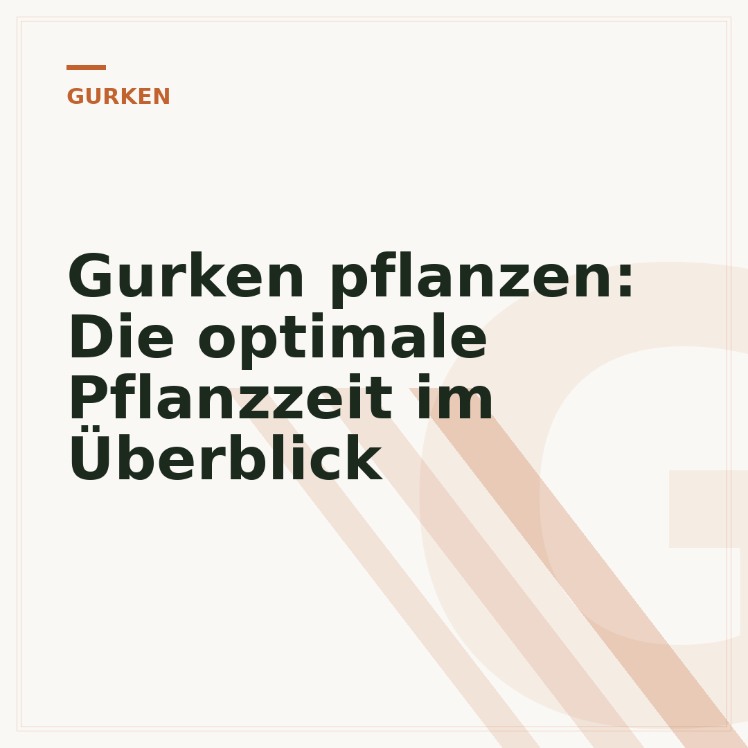 Gurken pflanzen: Die optimale Pflanzzeit im Überblick