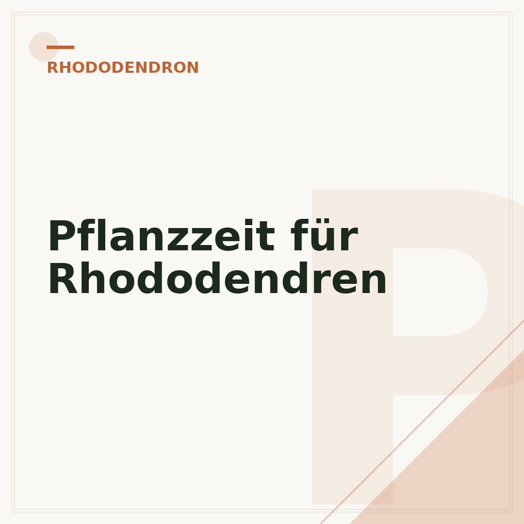 Pflanzzeit für Rhododendren
