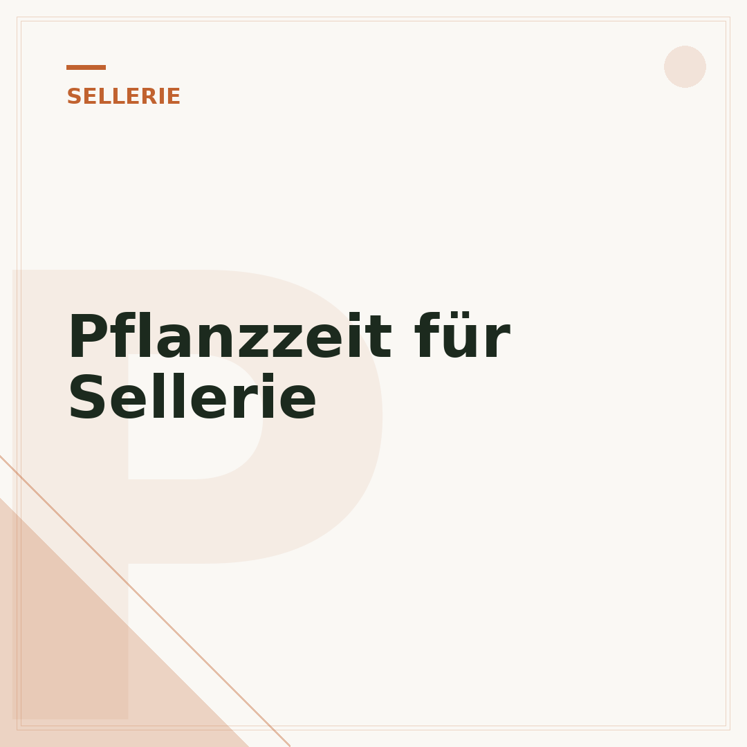 Pflanzzeit für Sellerie