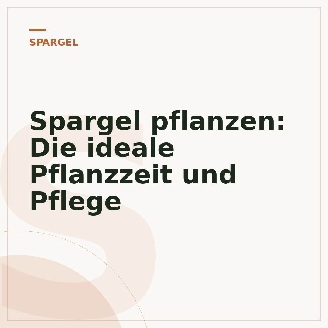Spargel pflanzen: Die ideale Pflanzzeit und Pflege
