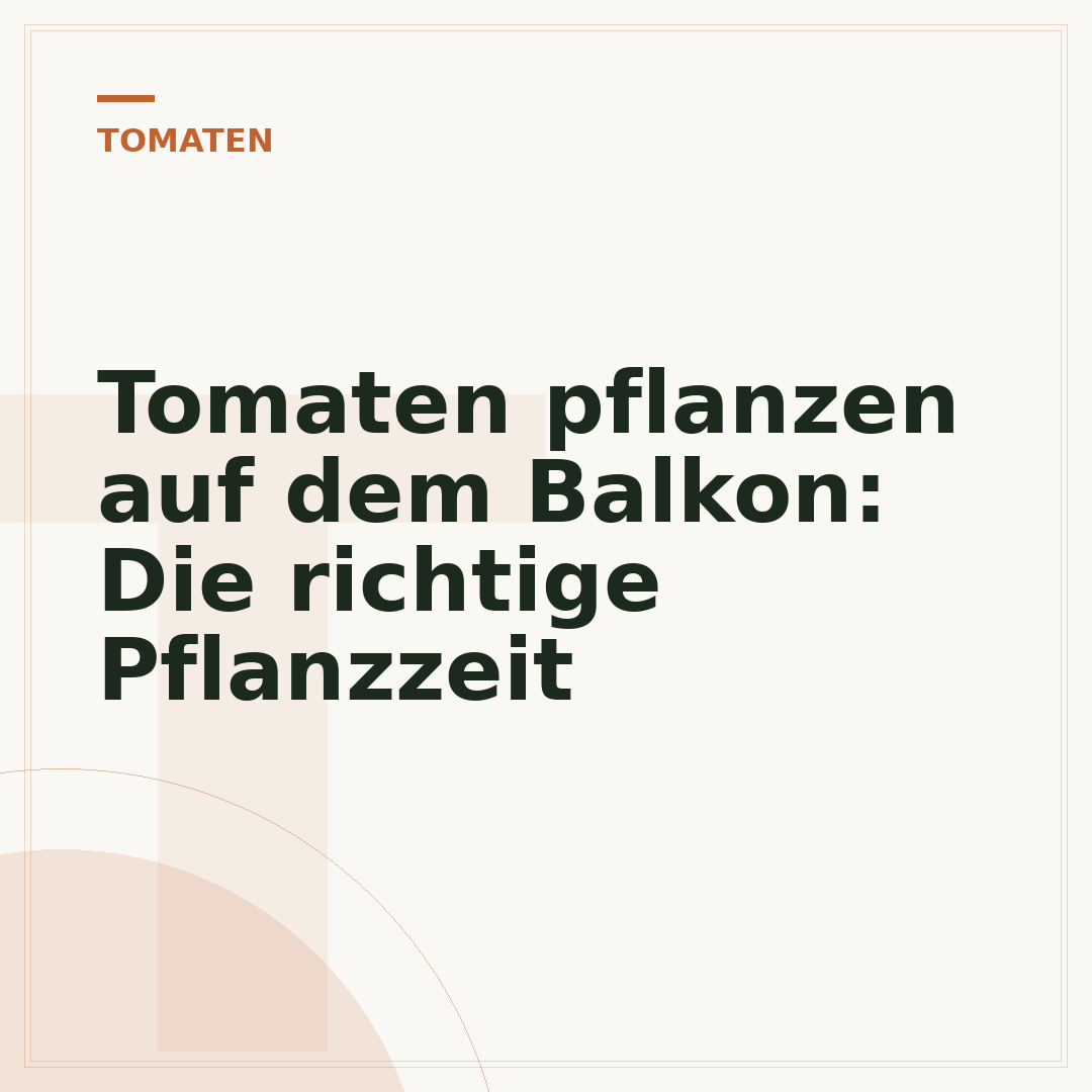 Tomaten pflanzen auf dem Balkon: Die richtige Pflanzzeit